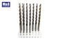 Bocados de broca parabólicos do comprimento do intermediário da flauta do cobalto do HSS &amp; do HSS com 135 graus. Ponto de Spliting